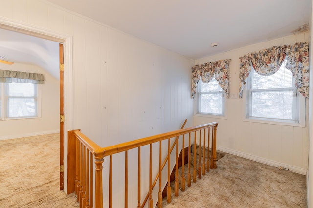 stairs with carpet flooring