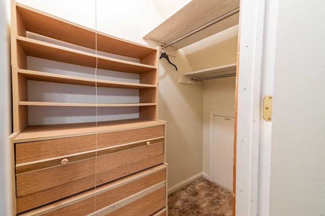 view of spacious closet