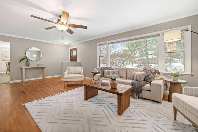 living room with ceiling fan, crown molding, and light hardwood / wood-style floors