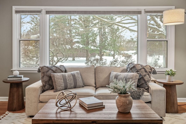 living room with hardwood / wood-style floors and a healthy amount of sunlight