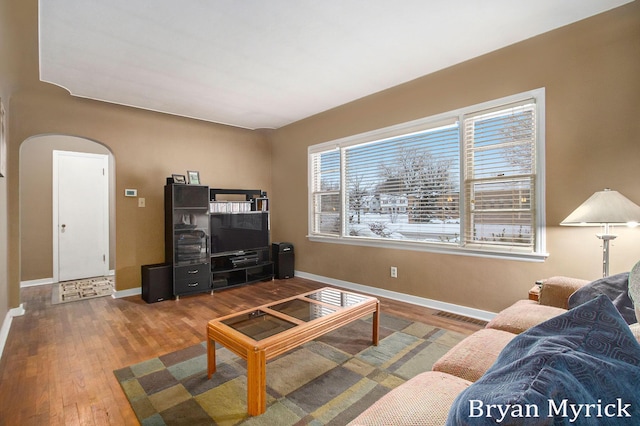 living room with hardwood / wood-style flooring