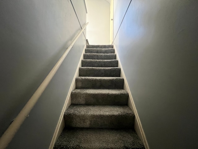 staircase with carpet flooring