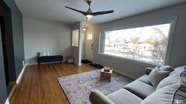 living room featuring ceiling fan and wood-type flooring