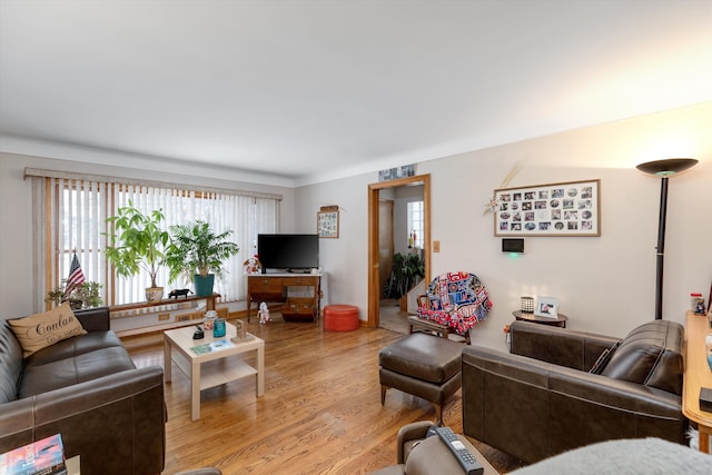 living room with light hardwood / wood-style flooring