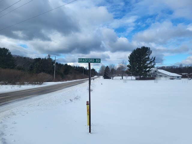 00 Bradford Rd, Manistee, MI 49660 - photo 5