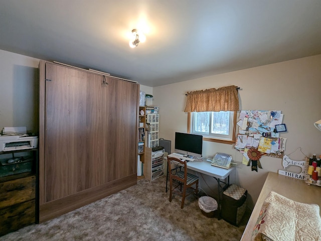 home office with carpet