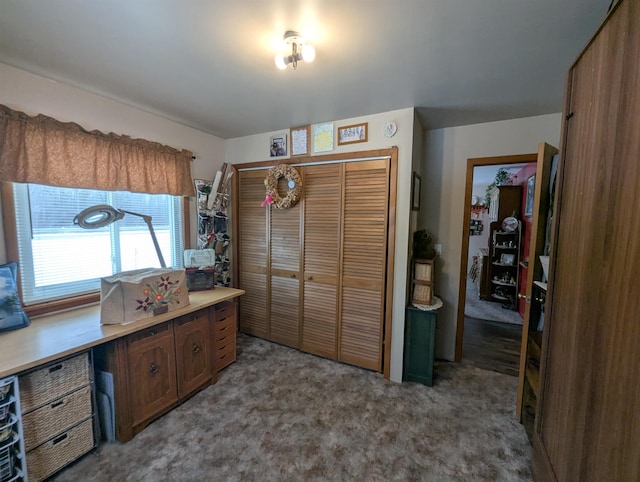 kitchen featuring carpet flooring