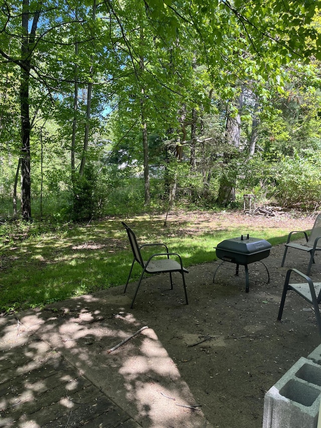 2273 Woodland Trl, Hillsdale, MI 49242 - view of patio / terrace