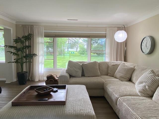 living room with dark hardwood / wood-style floors and crown molding