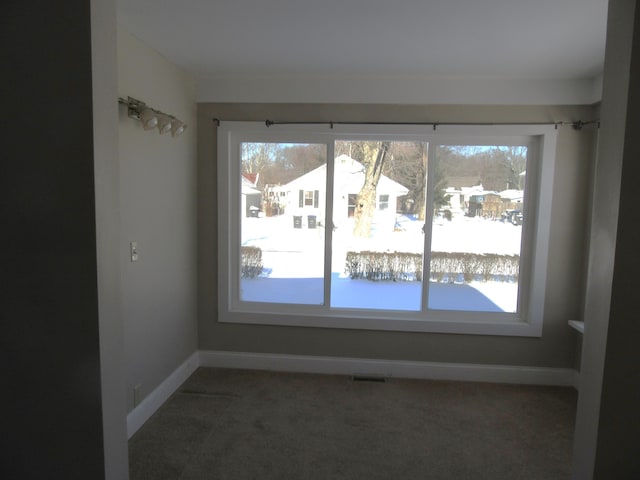 view of carpeted spare room