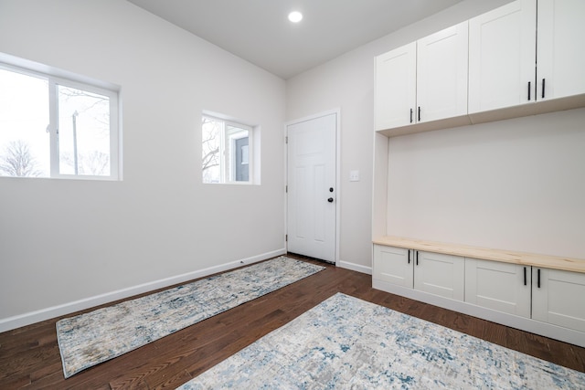 interior space featuring dark wood-type flooring and plenty of natural light