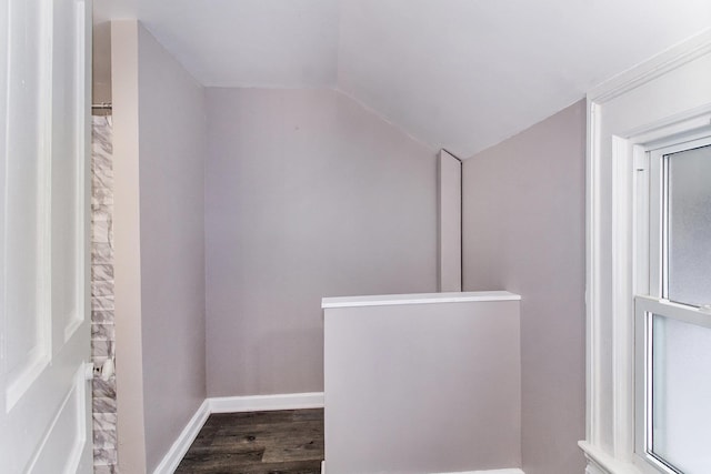 walk in closet featuring lofted ceiling and dark hardwood / wood-style floors