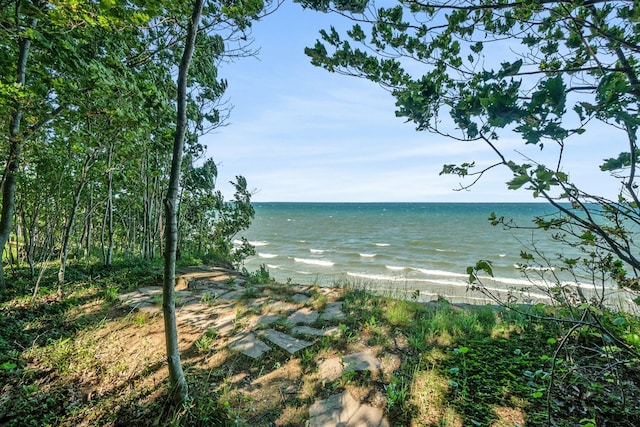 view of water feature featuring a beach view