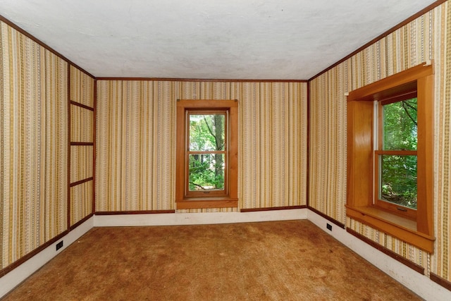 empty room featuring a textured ceiling, crown molding, and carpet floors