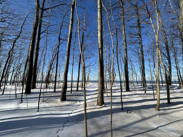 view of property's community