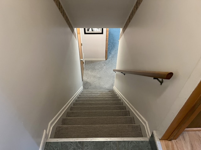 stairway featuring carpet floors