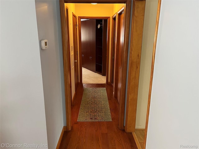 43 W Breitmeyer, Mount Clemens, MI 48043 - hallway with wood finished floors and baseboards