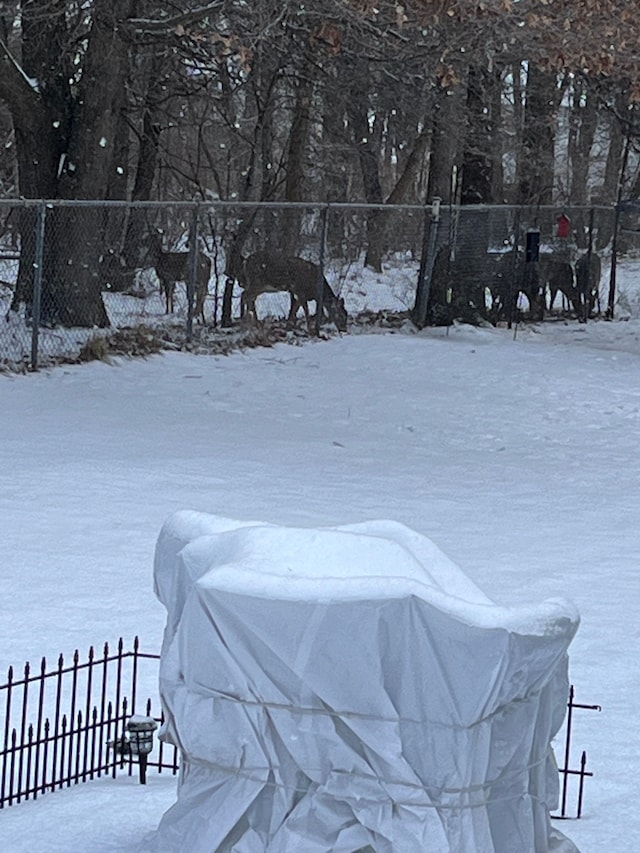 view of yard covered in snow