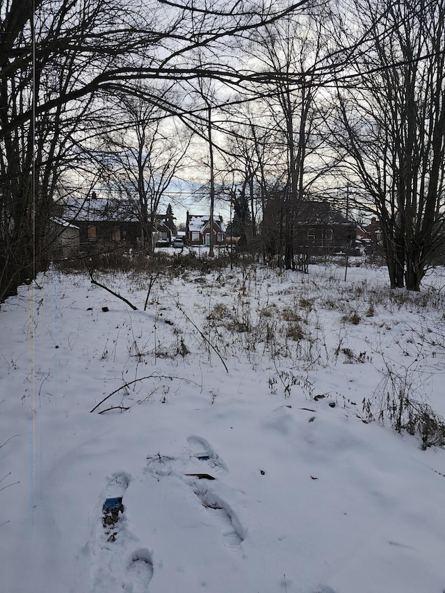 view of yard layered in snow