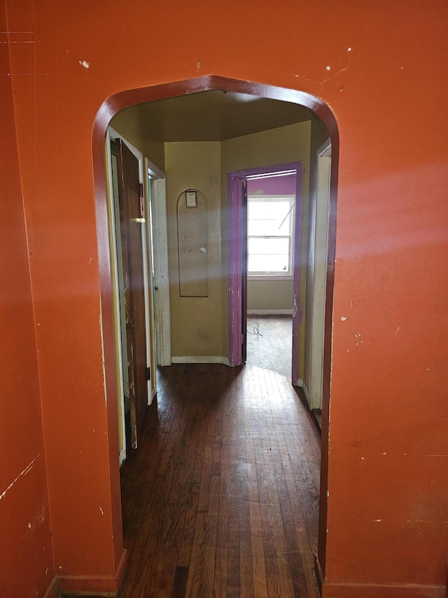 corridor featuring dark hardwood / wood-style flooring