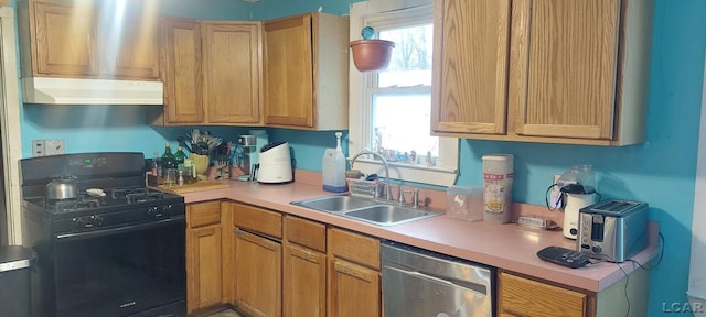 kitchen with sink, stainless steel dishwasher, and gas stove