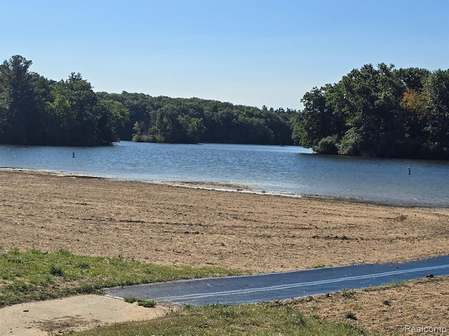 property view of water