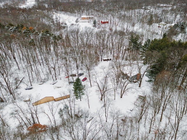 view of snowy aerial view