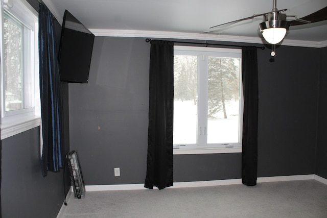 interior space featuring ceiling fan, crown molding, plenty of natural light, and carpet floors