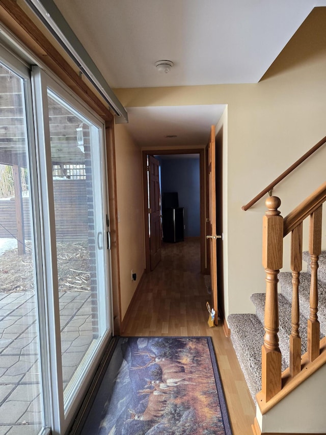 hall featuring dark wood-type flooring