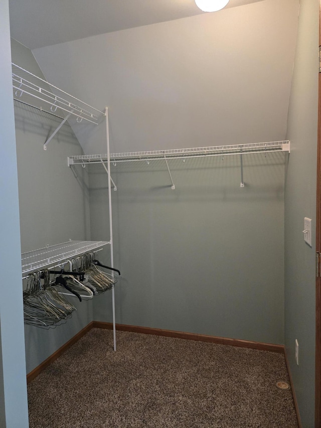 walk in closet featuring lofted ceiling and carpet floors