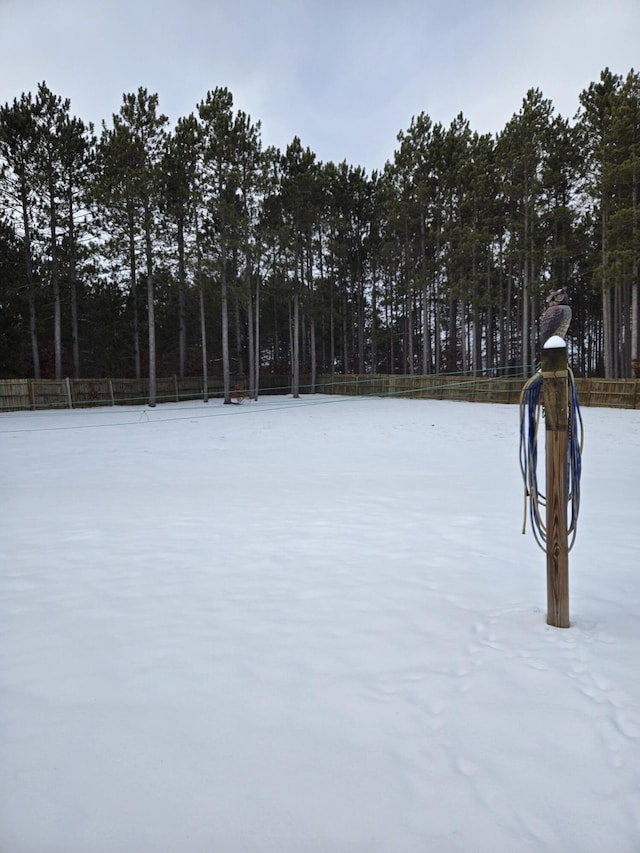 view of yard layered in snow