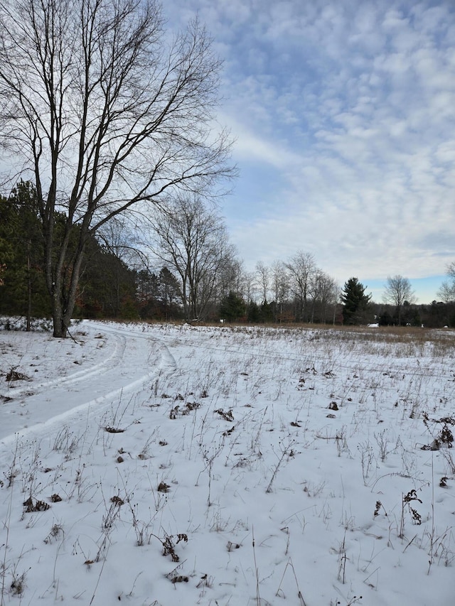 view of yard covered in snow