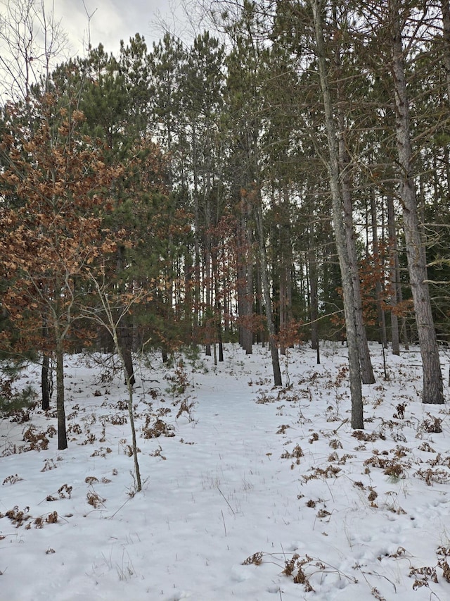 view of snowy view