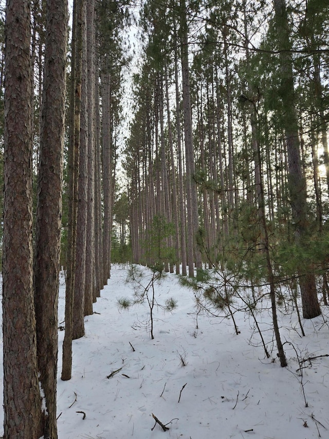 view of snow covered land