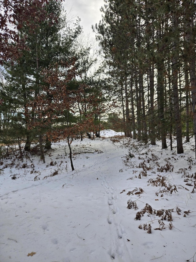 view of snowy landscape