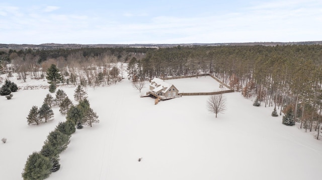 view of snowy aerial view