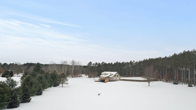 view of snowy yard