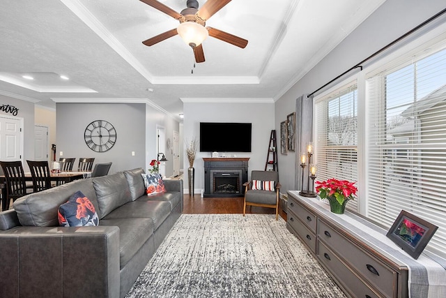 living room featuring wood-type flooring, ceiling fan, crown molding, and a raised ceiling