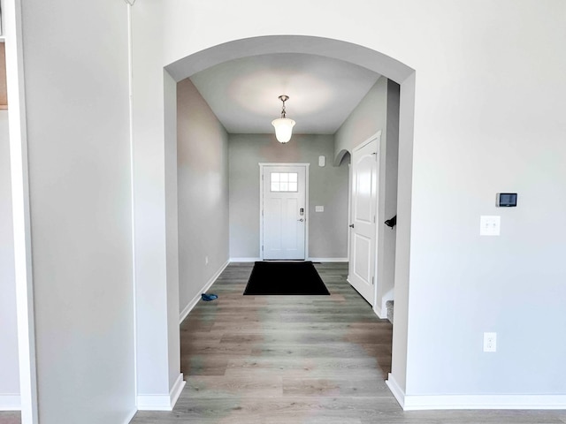 entrance foyer with hardwood / wood-style flooring