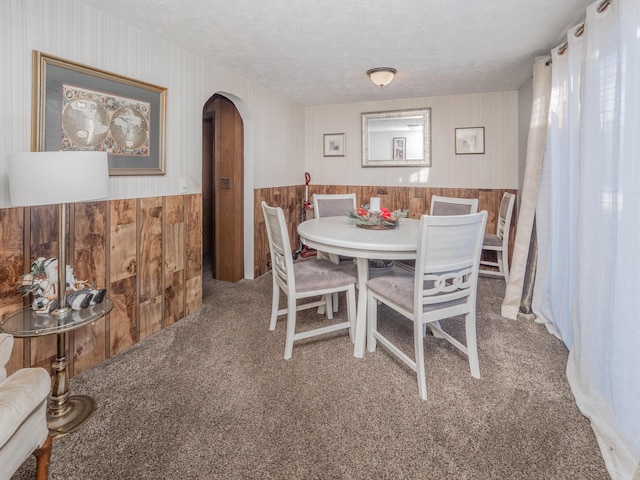 carpeted dining room featuring a healthy amount of sunlight, arched walkways, a textured ceiling, and wainscoting