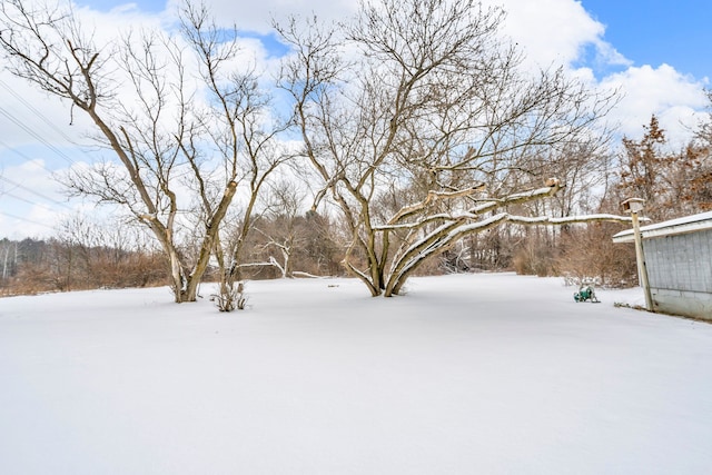 view of yard layered in snow