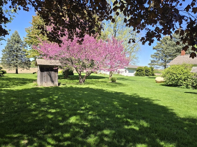 5480 E Litchfield Rd, Jonesville, MI 49250 - view of grassy yard
