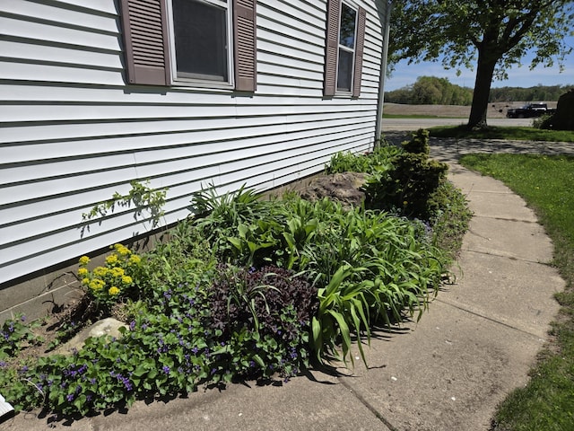 5480 E Litchfield Rd, Jonesville, MI 49250 - view of side of home