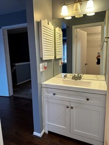 bathroom featuring hardwood / wood-style flooring and vanity