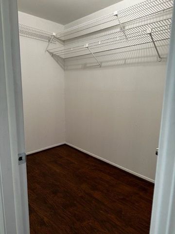 walk in closet with dark hardwood / wood-style floors