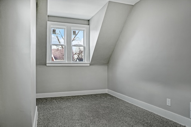 additional living space with carpet floors