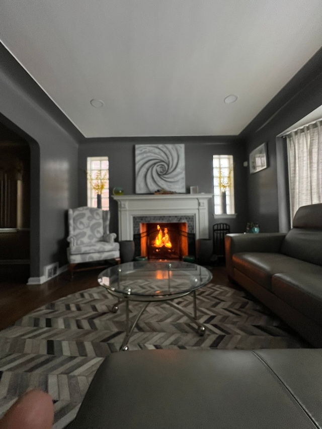 living room featuring a premium fireplace, a healthy amount of sunlight, and hardwood / wood-style floors