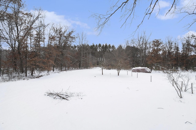 view of yard covered in snow