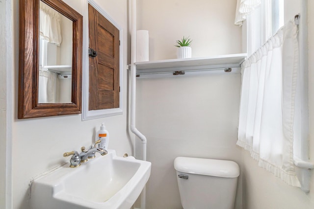 bathroom featuring toilet, a wealth of natural light, and sink