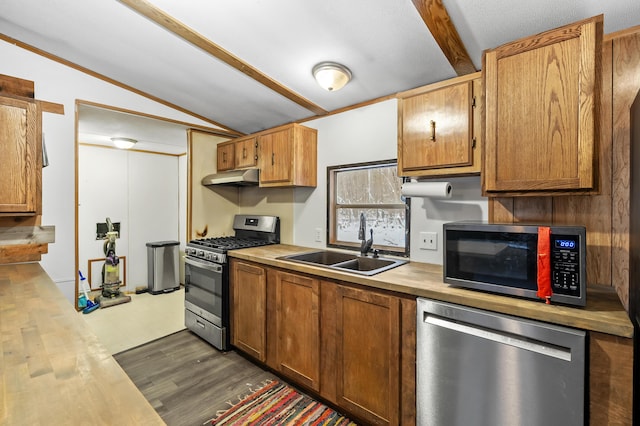 kitchen featuring vaulted ceiling, dark wood-type flooring, appliances with stainless steel finishes, and sink